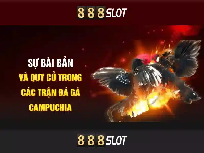 Tại sao nên chọn 888slot?
