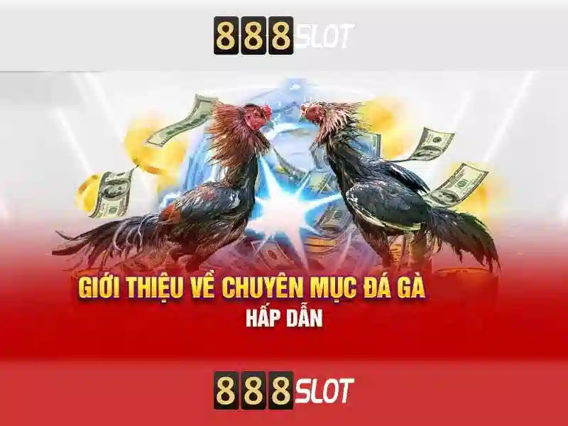 An toàn và thanh toán