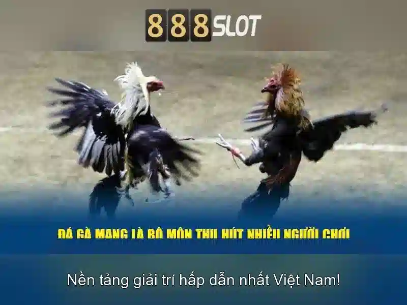 Giới thiệu về 888slot